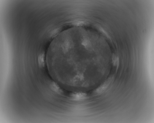 X0000115340670200911091306