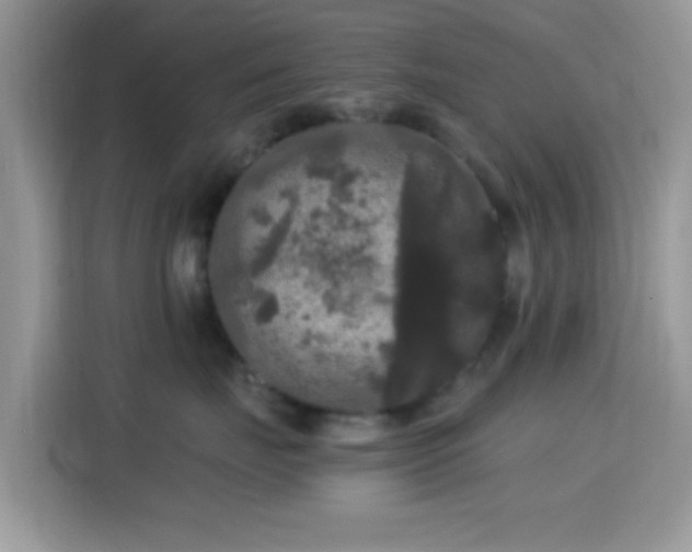 X0000115340671200911091306