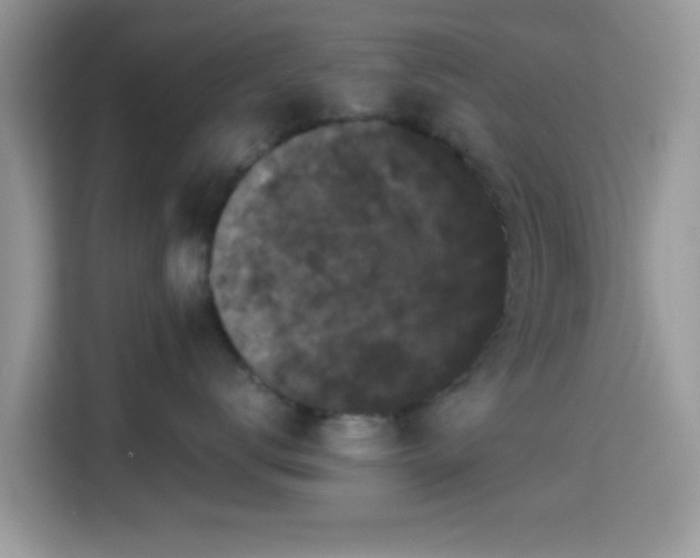 X0000115340672200911091306