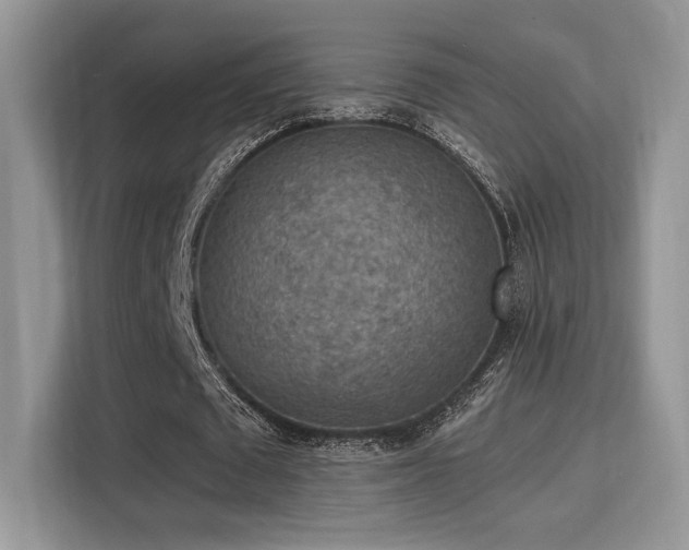 X0000115340673200911091306