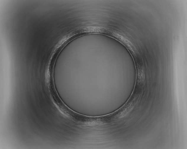 X0000115340674200911091306