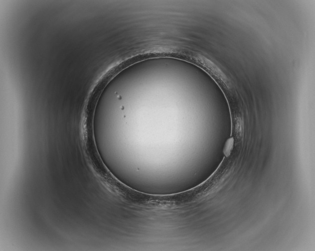 X0000115340676200911091305