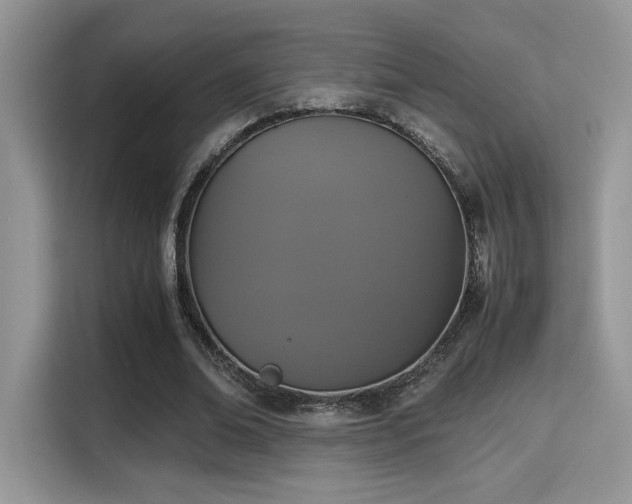 X0000115340678200911091305