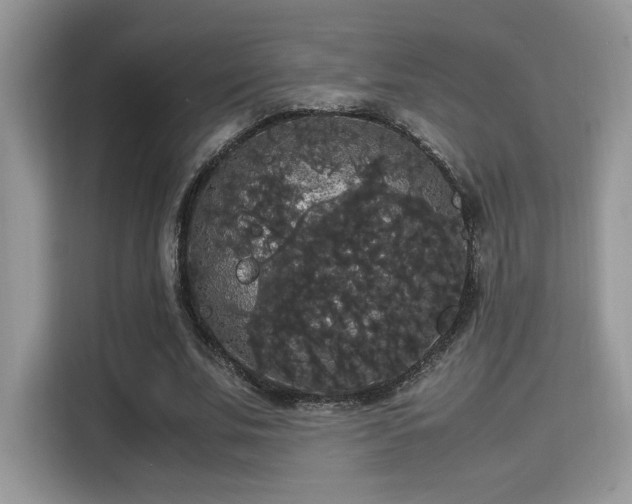 X0000115340679200911091305