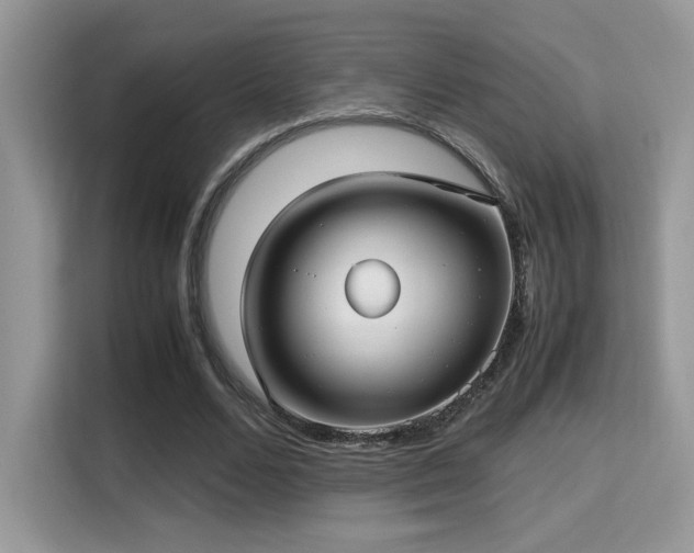X0000115340680200911091305