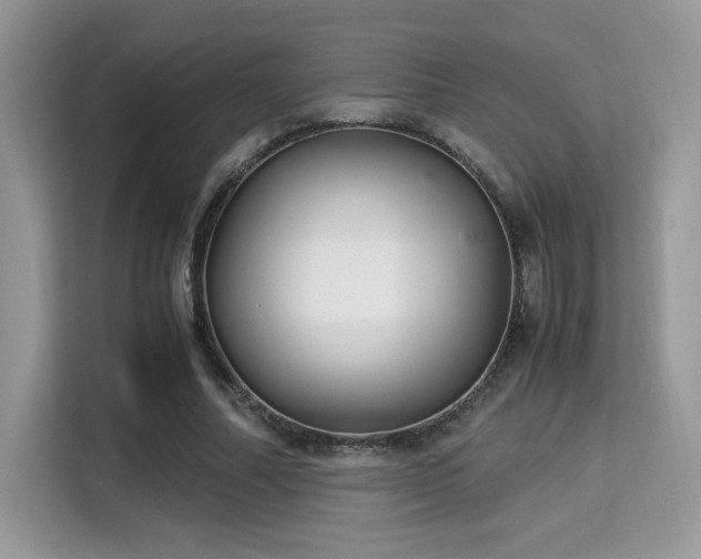 X0000115340682200911091305