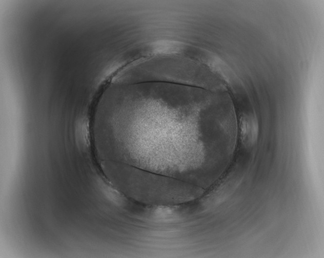 X0000115340684200911091305