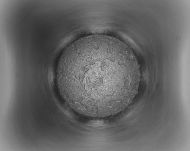 X0000115340687200911091305