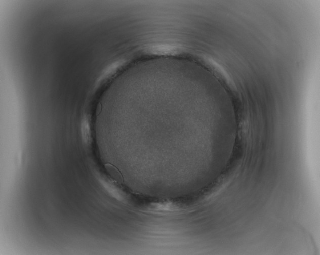 X0000115340688200911091305