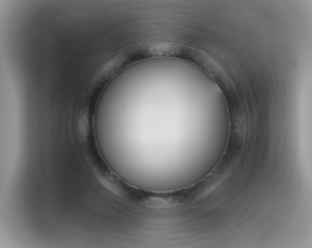 X0000115340690200911091305
