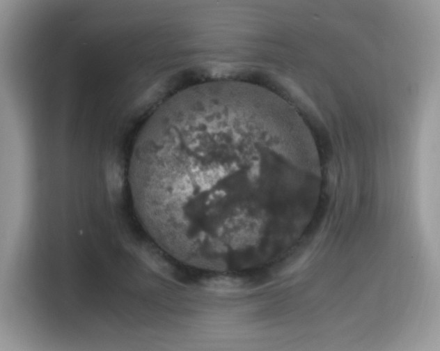 X0000115340691200911091305