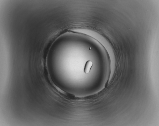 X0000115340692200911091305