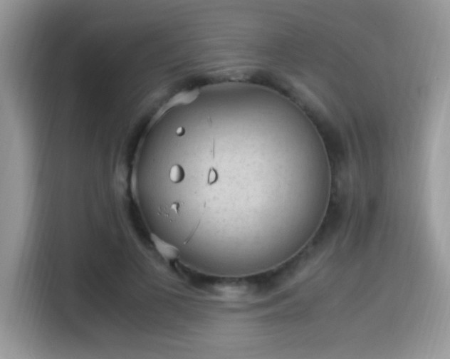X0000115340693200911091305