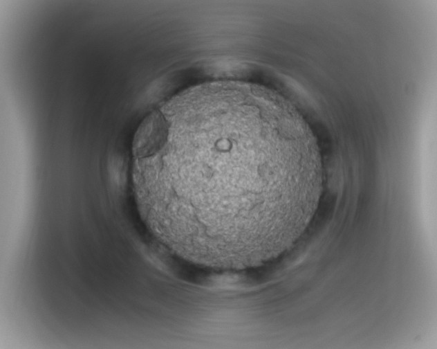 X0000115340695200911091305