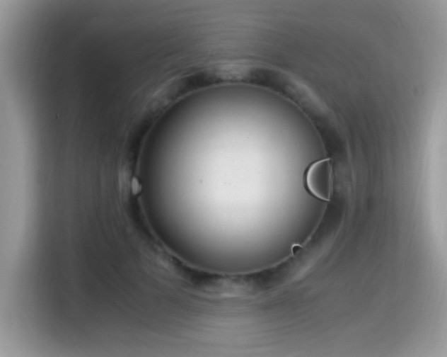 X0000115340697200911091305