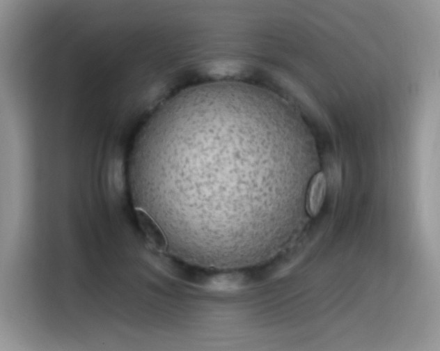 X0000115340700200911091305