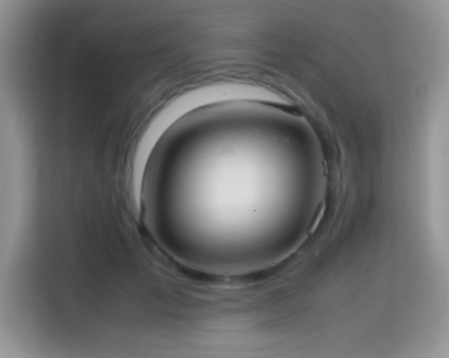 X0000115340701200911091305