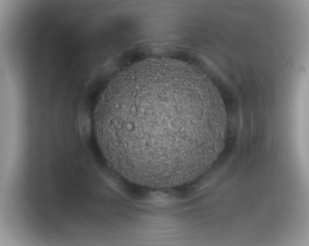 X0000115340703200911091305