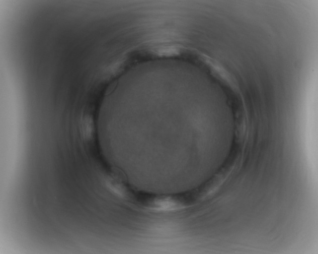 X0000115340704200911091305