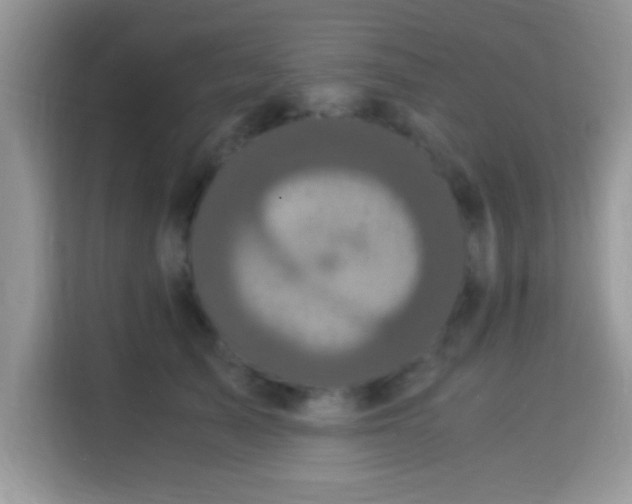 X0000115340705200911091305
