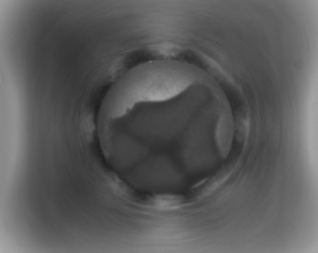 X0000115340707200911091305