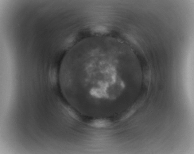 X0000115340708200911091305