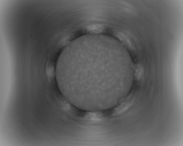 X0000115340713200911091305