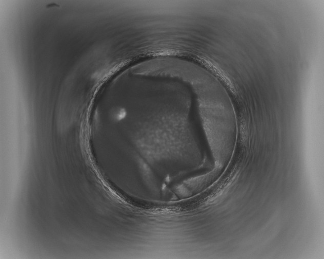 X0000115340721200911091304
