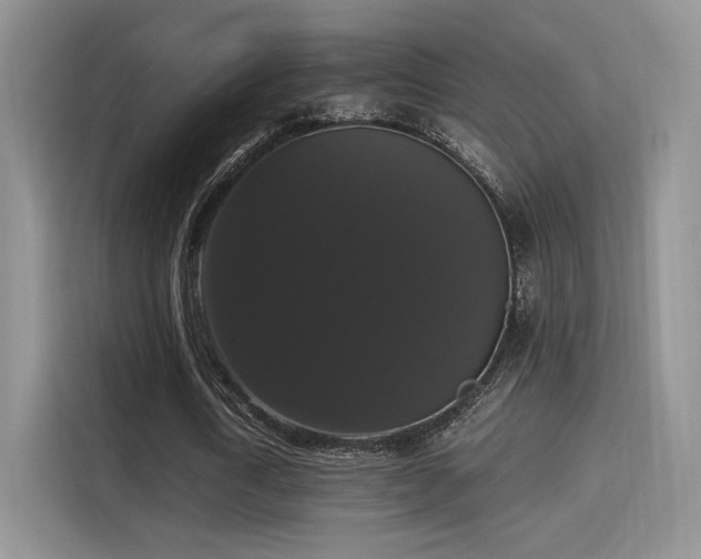 X0000115340722200911091304