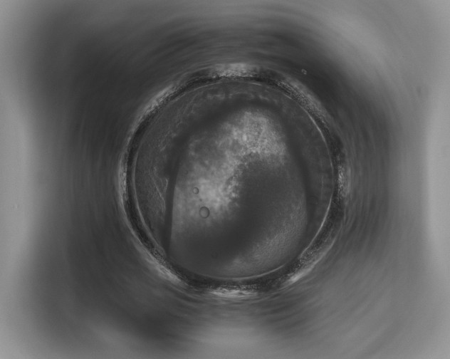 X0000115340725200911091304