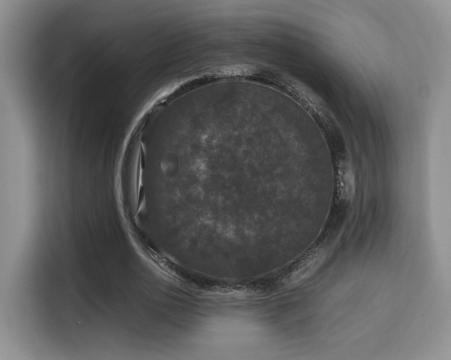 X0000115340726200911091304