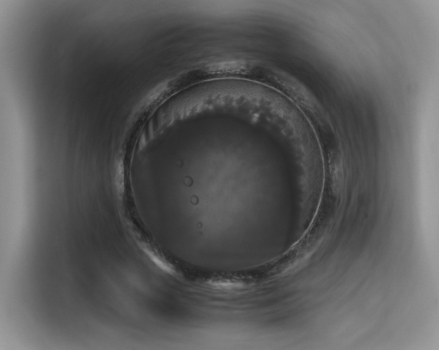 X0000115340729200911091304