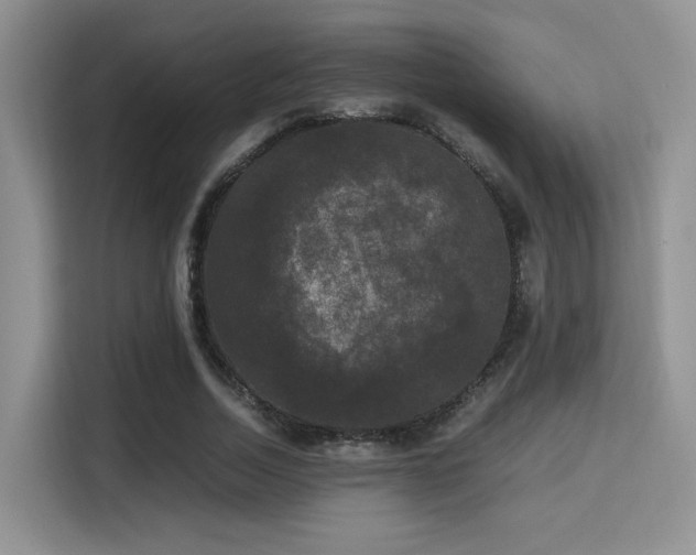 X0000115340730200911091304