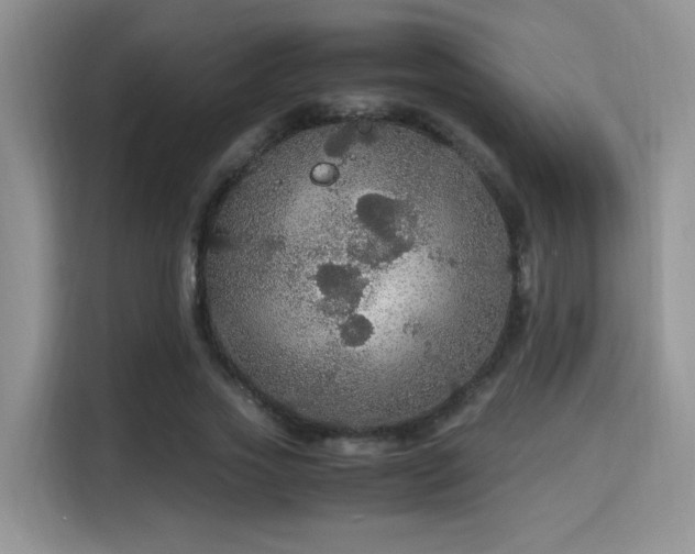 X0000115340733200911091304