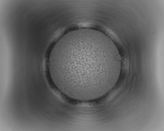 X0000115340738200911091305