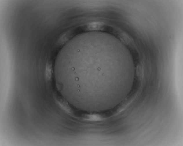 X0000115340741200911091305