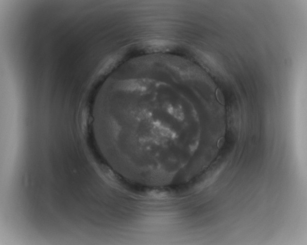X0000115340742200911091305