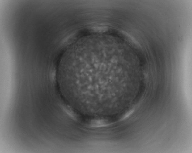 X0000115340745200911091305