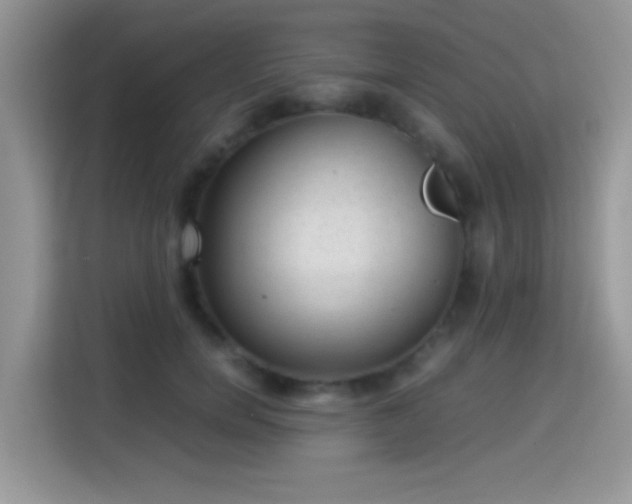X0000115340750200911091305