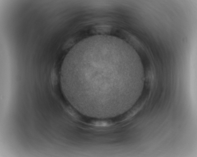 X0000115340751200911091305