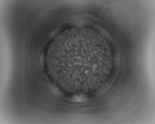 X0000115340757200911091305