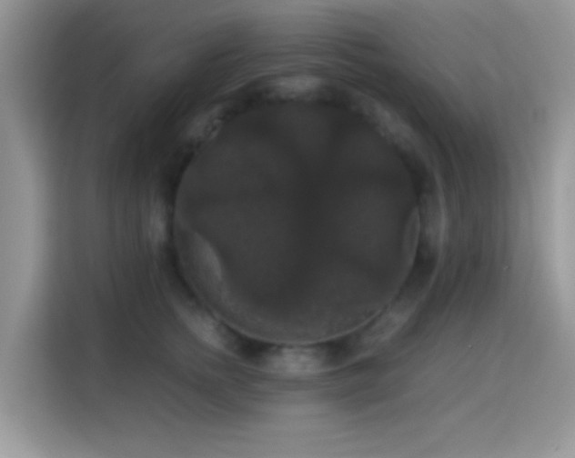 X0000115340758200911091305