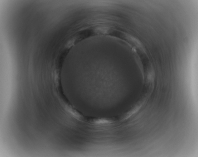 X0000115340759200911091305