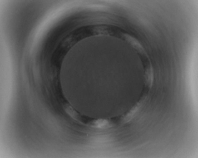 X0000115340762200911091305
