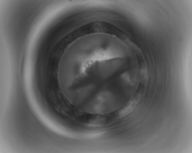 X0000115340765200911091305