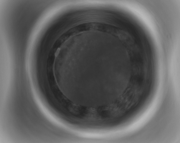 X0000115340766200911091305