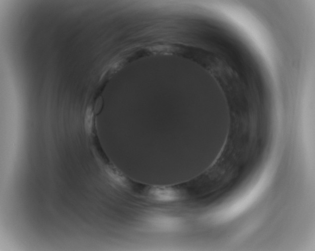 X0000115340767200911091305