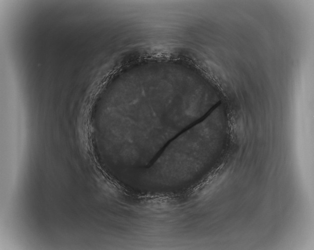 X0000115340769200911091304
