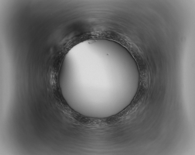 X0000115340770200911091304