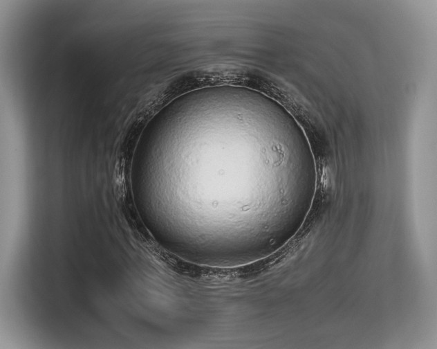 X0000115340771200911091304